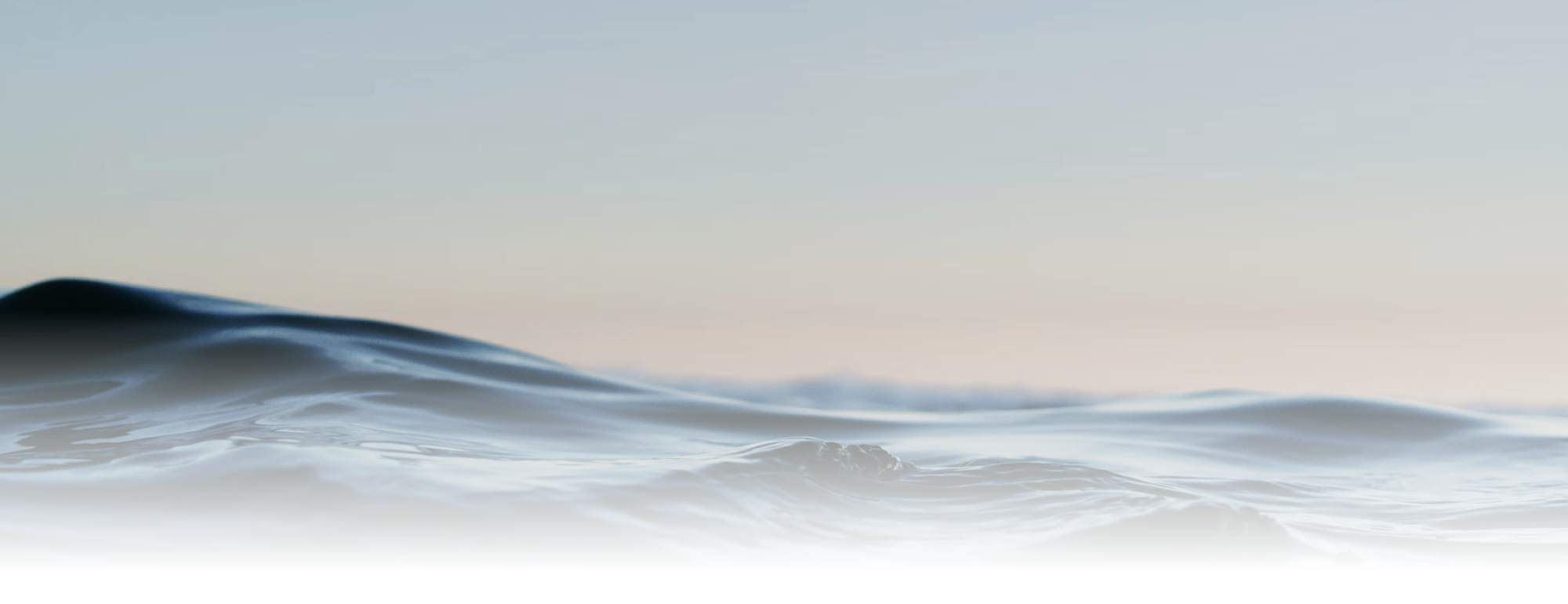 Banner for Water-Nexus Lab website.
